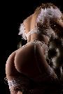 Erotik Bild - Sex Picture vergr&ouml;ssern
