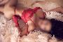 Erotik Bild - Sex Picture vergr&ouml;ssern